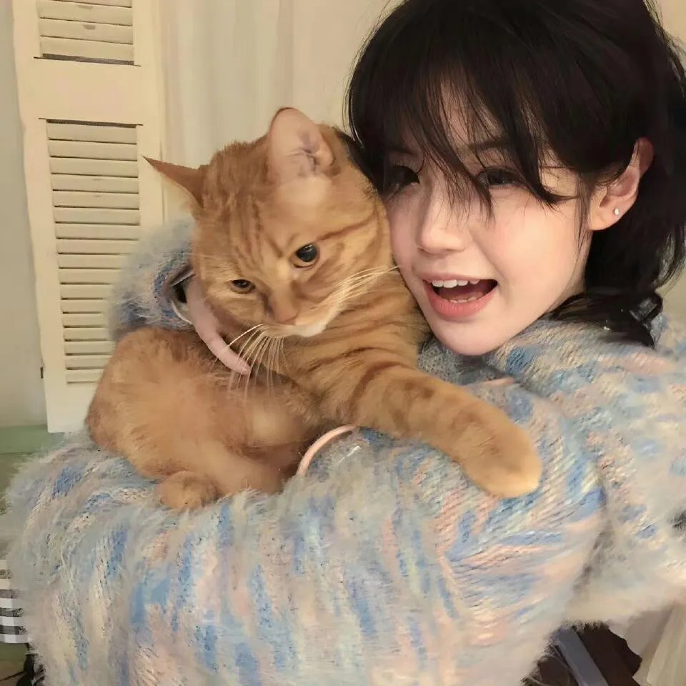 生化危机：复仇